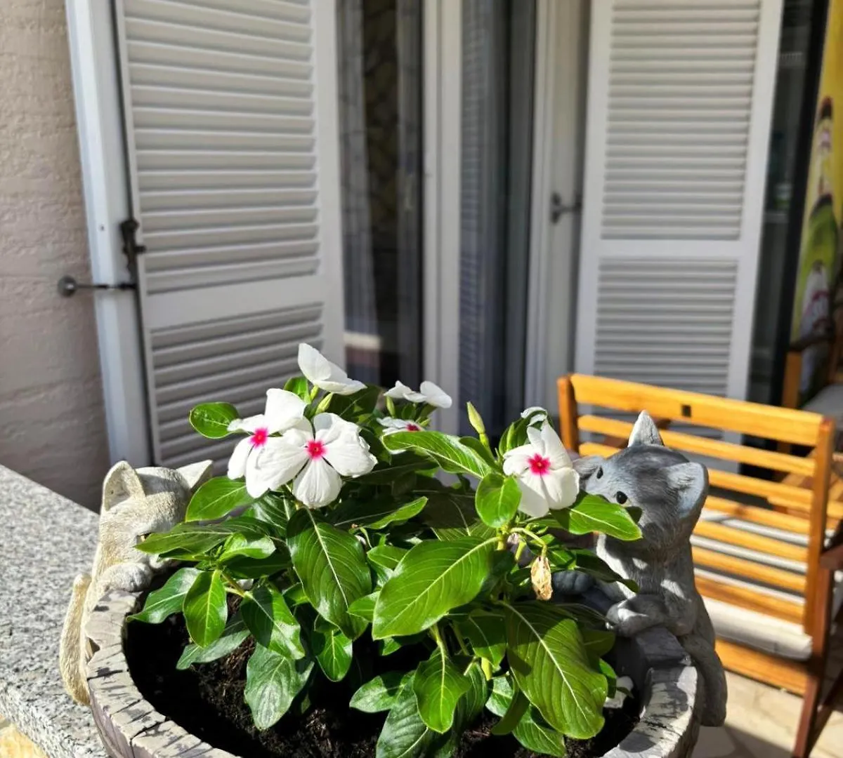Appartements Dusanka Krk Town 0*,  Chorvatsko